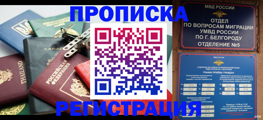 временная регистрация недорого в Мурманской области